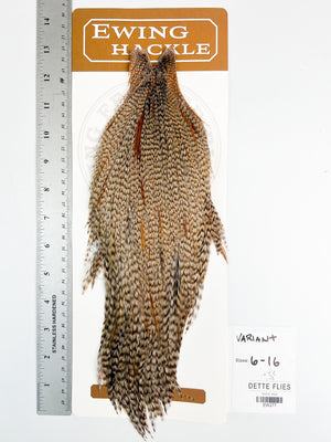 Variant - Ewing Dry Fly Rooster Cape