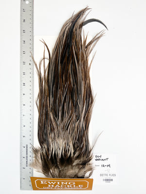 Dun Variant - Ewing Dry Fly Rooster Saddle