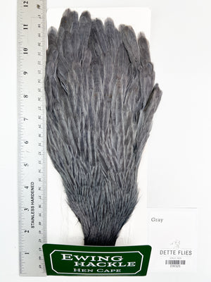 Gray - Ewing Hen Cape