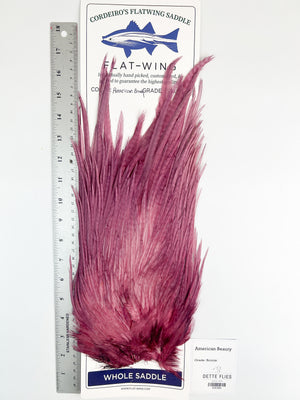 American Beauty - Ewing x Cordeiro's Flatwing Saddle - Bronze