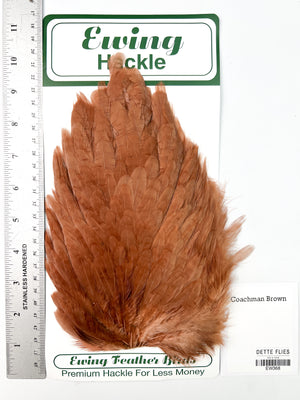 Coachman Brown - Ewing Hen Saddle (368)