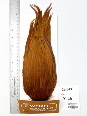Ginger - Ewing Dry Fly Rooster Cape (379)