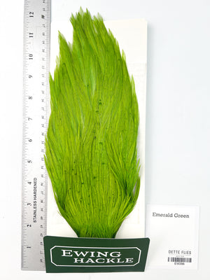 Emerald Green - Ewing Rooster Cape