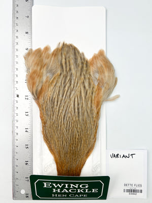 Variant - Ewing Hen Cape (442)