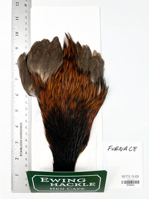 Furnace - Ewing Hen Cape (445)