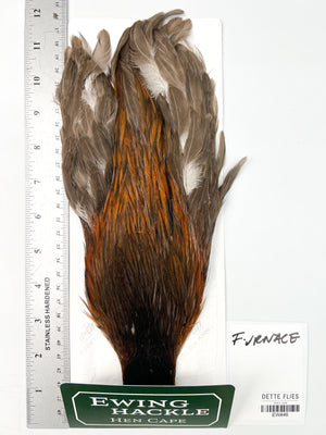 Furnace - Ewing Hen Cape (446)