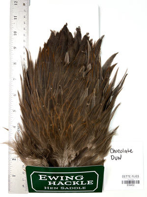 Chocolate Dun - Ewing Hen Saddle (452)