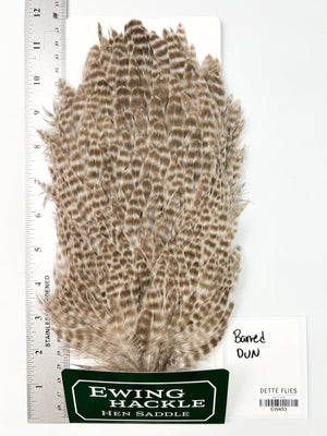 Barred Dun - Ewing Hen Saddle (453)