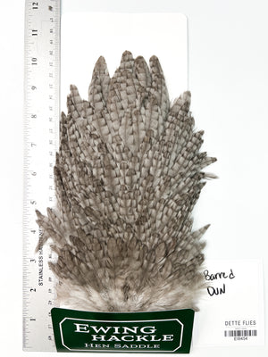 Barred Dun - Ewing Hen Saddle (454)