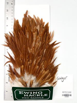 Ginger - Ewing Hen Saddle (460)