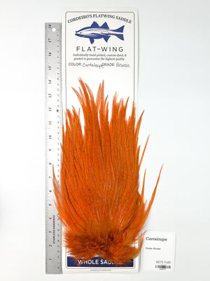 Cantaloupe - Ewing x Cordeiro's Flatwing Saddle - Bronze