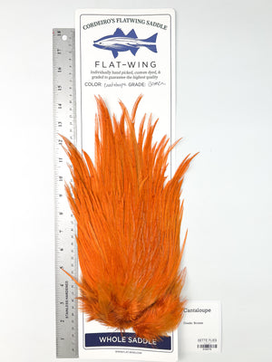 Cantaloupe - Ewing x Cordeiro's Flatwing Saddle - Bronze