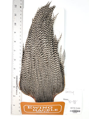 Grizzly - Ewing Dry Fly Rooster Cape (499)