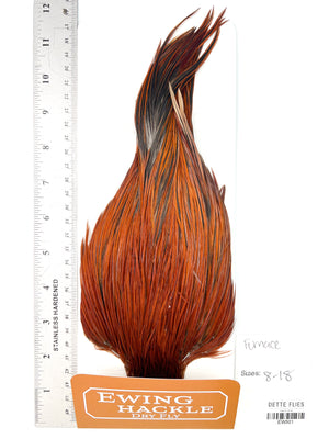 Furnace - Ewing Dry Fly Rooster Cape (501)