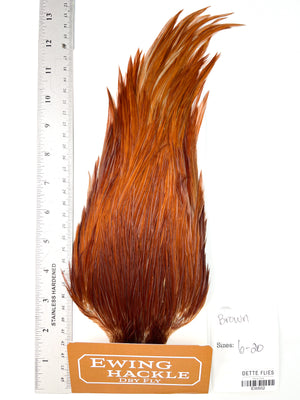 Brown - Ewing Dry Fly Rooster Cape (502)