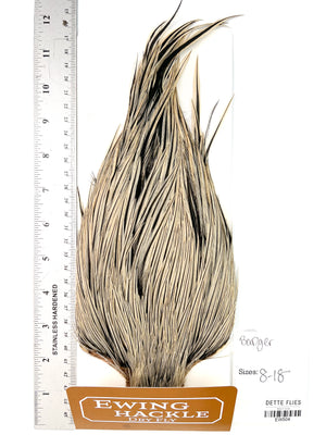 Badger - Ewing Dry Fly Rooster Cape (504)