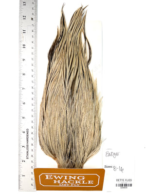 Badger - Ewing Dry Fly Rooster Cape (505)