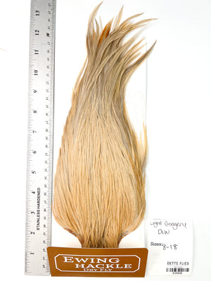 Light Gingery Dun - Ewing Dry Fly Rooster Cape (506)