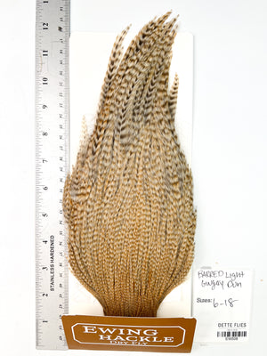 Barred Light Gingery Dun - Ewing Dry Fly Rooster Cape (508)