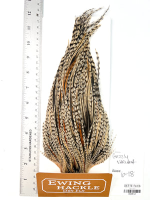 Grizzly Variant - Ewing Dry Fly Rooster Cape (512)