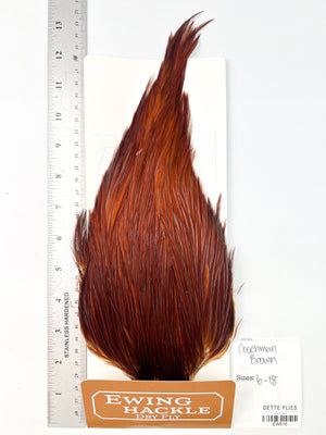 Coachman Brown - Ewing Dry Fly Rooster Cape (516)