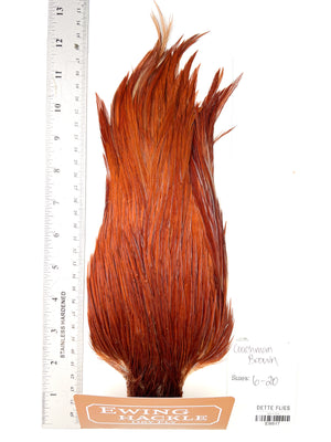Coachman Brown - Ewing Dry Fly Rooster Cape (517)
