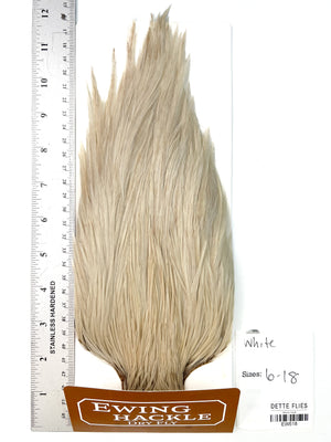 White - Ewing Dry Fly Rooster Cape (518)