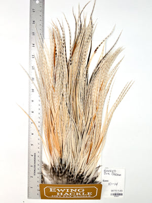 Barred Dark Cream - Ewing Dry Fly Rooster Saddle (521)