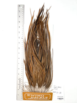 Dark Rusty Dun - Ewing Dry Fly Rooster Saddle (524)