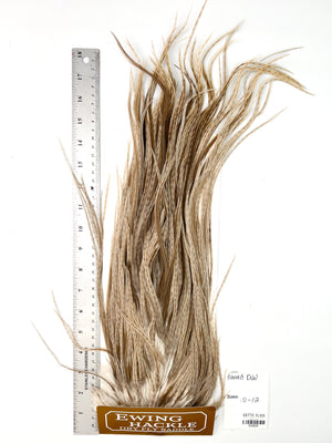 Barred Dun - Ewing Dry Fly Rooster Saddle (525)