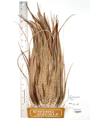 Barred Rusty Dun - Ewing Dry Fly Rooster Saddle (526)