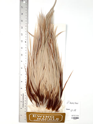 Light Rusty Dun - Ewing Dry Fly Rooster Saddle (527)