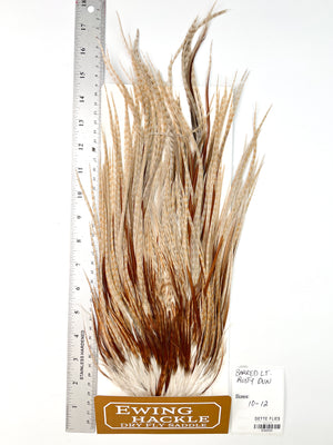 Barred Light Rusty Dun - Ewing Dry Fly Rooster Saddle (533)