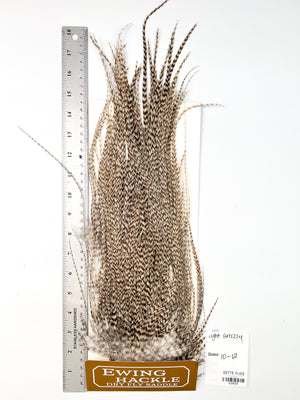 Light Grizzly - Ewing Dry Fly Rooster Saddle (534)