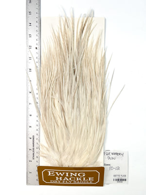 Pale Watery Dun - Ewing Dry Fly Rooster Saddle (538)