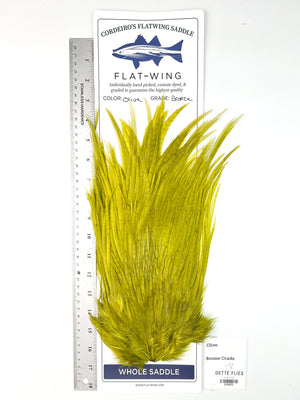 Olive - Ewing x Cordeiro's Flatwing Saddle - Bronze (#632)