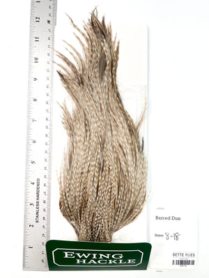 Barred Dun - Ewing Dry Fly Rooster Cape (716)