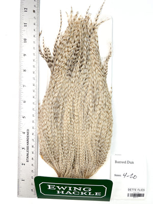 Barred Dun - Ewing Dry Fly Rooster Cape (717)