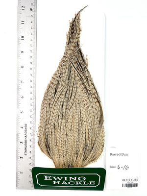 Barred Dun - Ewing Dry Fly Rooster Cape (719)