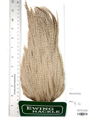 Barred Dun - Ewing Dry Fly Rooster Cape (722)