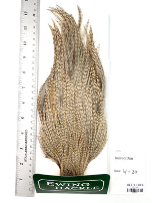 Barred Dun - Ewing Dry Fly Rooster Cape (723)
