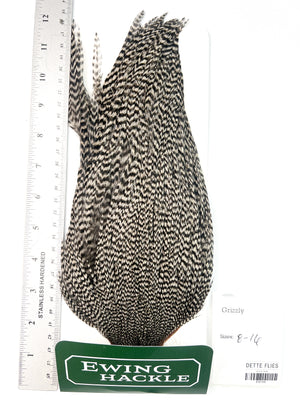 Grizzly - Ewing Dry Fly Rooster Cape (729)