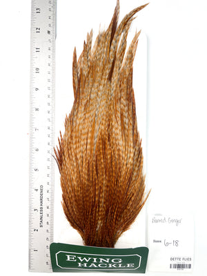 Barred Ginger - Ewing Dry Fly Rooster Cape (739)