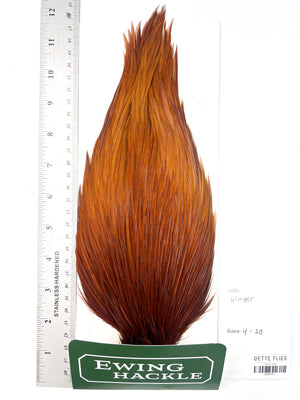 Ginger - Ewing Dry Fly Rooster Cape (741)
