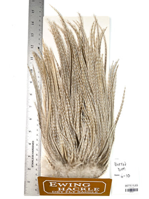 Barred Dun - Ewing Dry Fly Rooster Saddle (755)