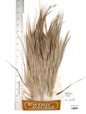 Barred Dun - Ewing Dry Fly Rooster Saddle (756)