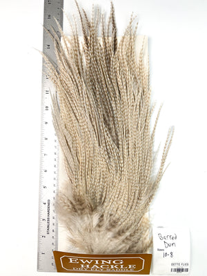 Barred Dun - Ewing Dry Fly Rooster Saddle (757)