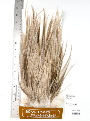 Barred Dun - Ewing Dry Fly Rooster Saddle (758)