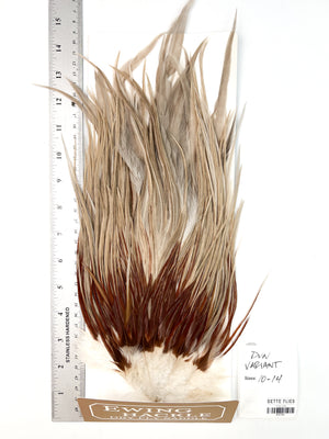 Dun Variant - Ewing Dry Fly Rooster Saddle (764)