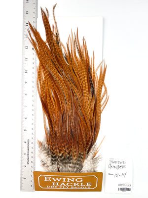Barred Ginger - Ewing Dry Fly Rooster Saddle (765)